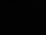 20 : 02