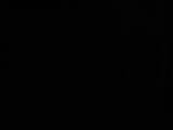 20 : 18