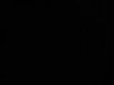 20 : 30