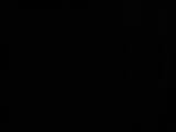 20 : 38
