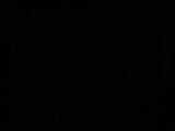 20 : 42