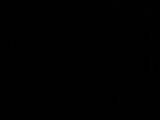 03 : 06