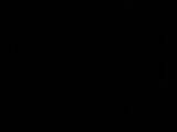 04 : 50