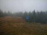 08 : 06