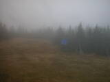 14 : 50