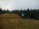 15 : 54