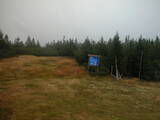 17 : 10