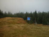 17 : 22