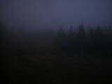 19 : 18