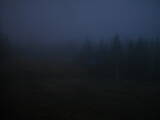 19 : 34
