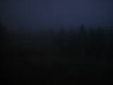 19 : 38