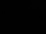20 : 30