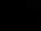 20 : 42