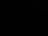 20 : 50