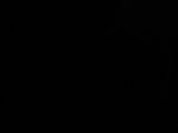 20 : 54