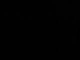 21 : 22