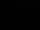 23 : 06