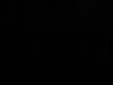 23 : 54