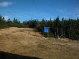12 : 30