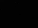 03 : 48