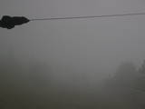 16 : 36