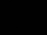 20 : 20
