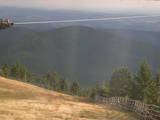 17 : 36