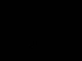 20 : 20