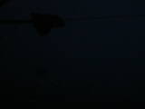 04 : 20