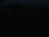 04 : 00