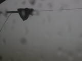 09 : 20