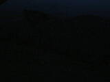 21 : 32