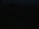 04 : 44