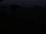 06 : 04