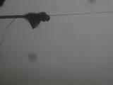 16 : 36