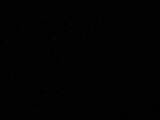 19 : 28