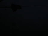 19 : 20