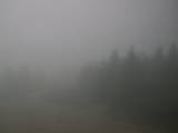 16 : 48