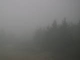 17 : 16