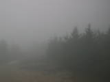 17 : 20