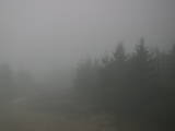 17 : 24