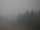 17 : 44