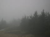 18 : 04