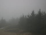 18 : 20