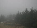 19 : 06