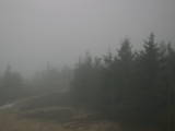 19 : 10