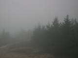 19 : 12