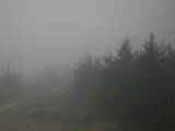 19 : 14