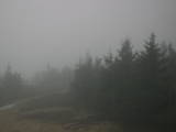 19 : 16