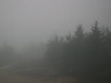 19 : 18